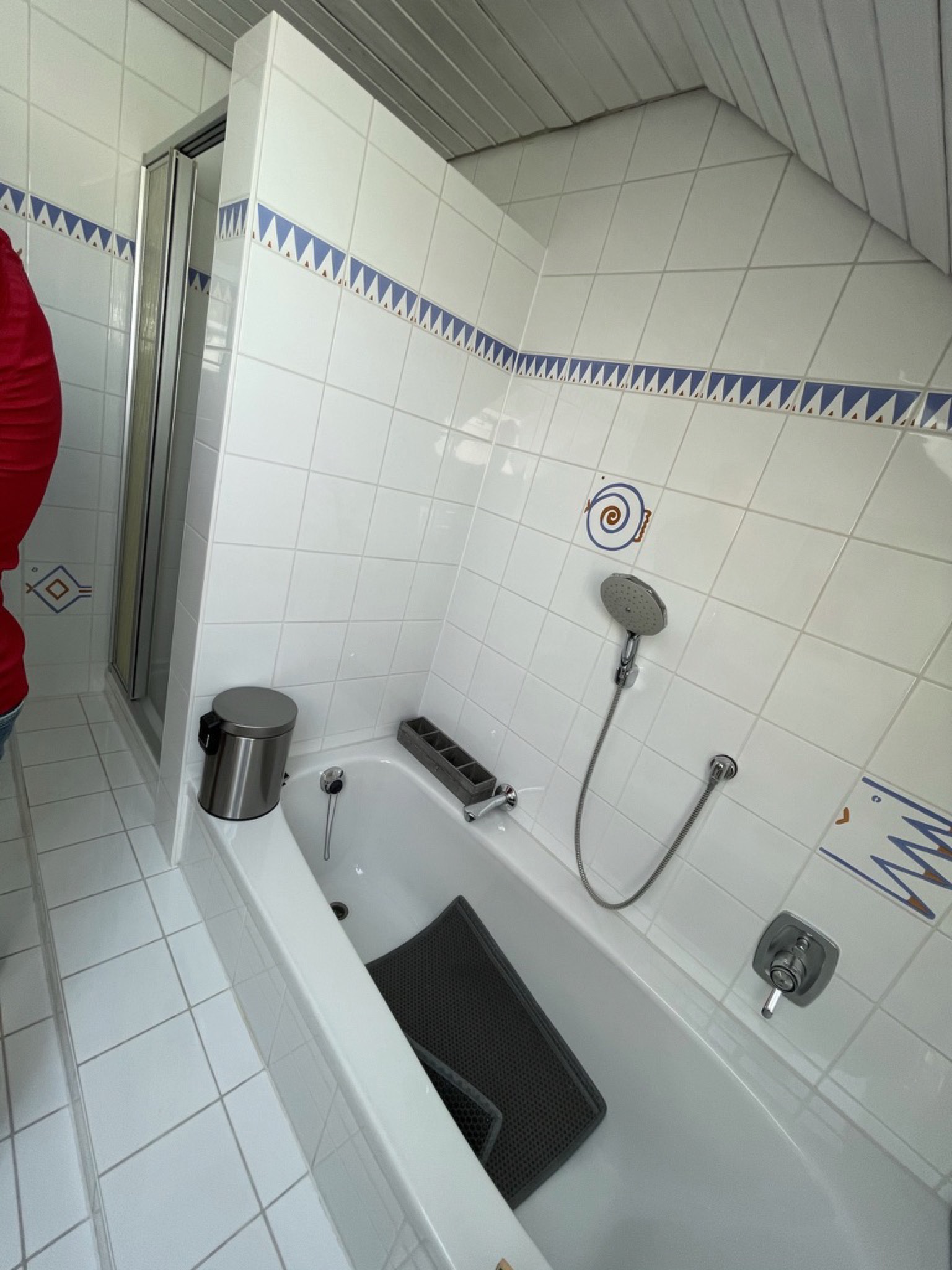 Alte Badewanne und Dusche vor der Demontage