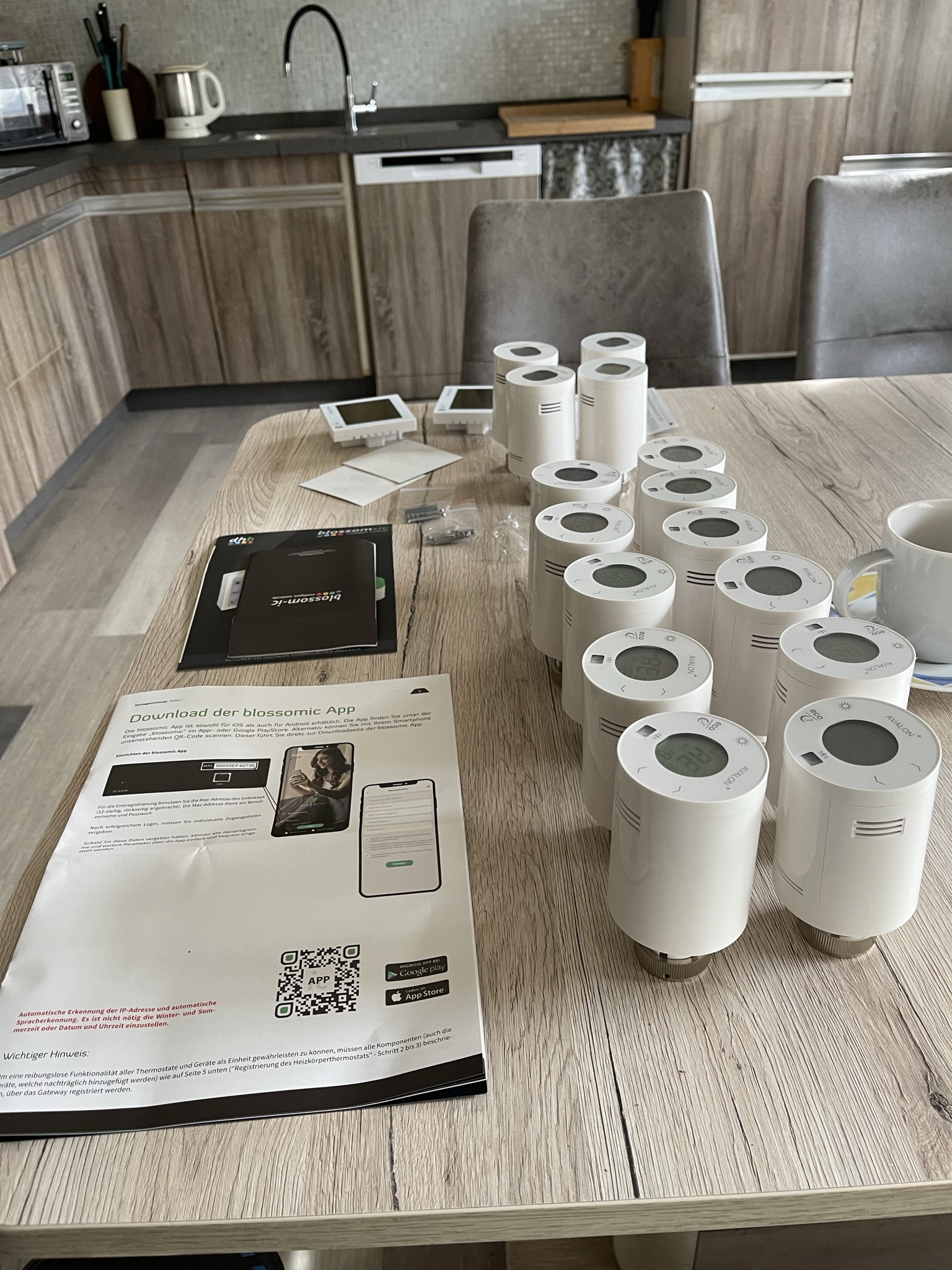 Techniker programmiert digitale Thermostate (blossom-ic) für hydraulischen Abgleich
